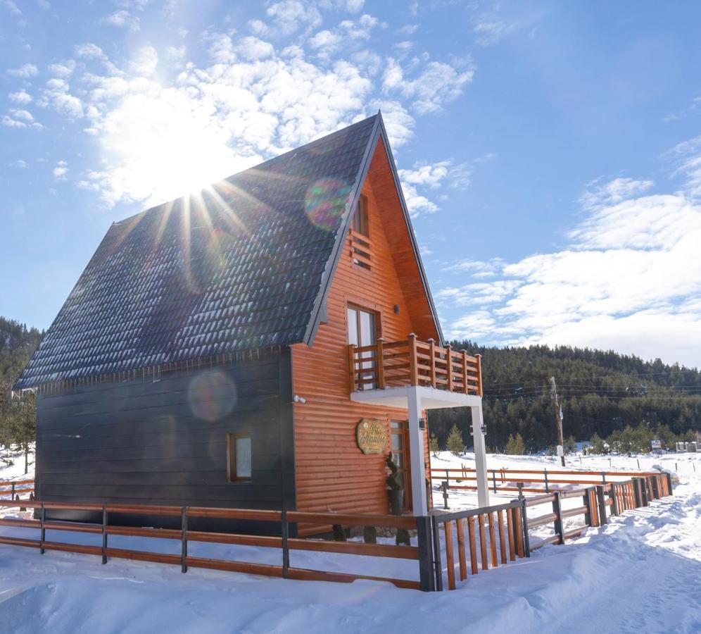 Vila Hanovi Zabljak Luaran gambar