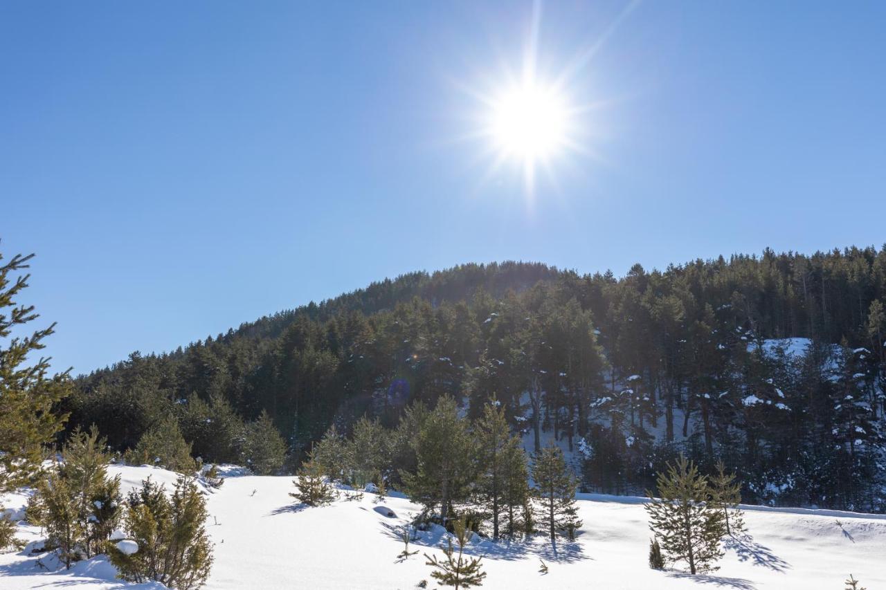 Vila Hanovi Zabljak Luaran gambar