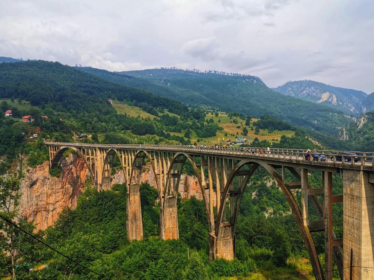 Vila Hanovi Zabljak Luaran gambar
